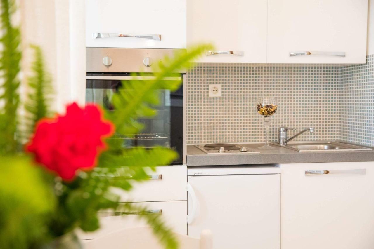 Apartment Vidak